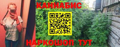 сатива Уссурийск