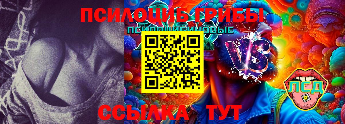 Белореченск  Галлюциногенные грибы Magic Shrooms  Вход с VPN 