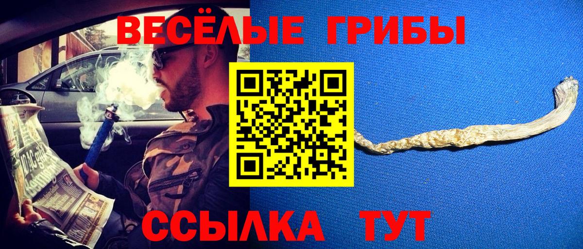 Псилоцибиновые грибы прущие грибы Белореченск